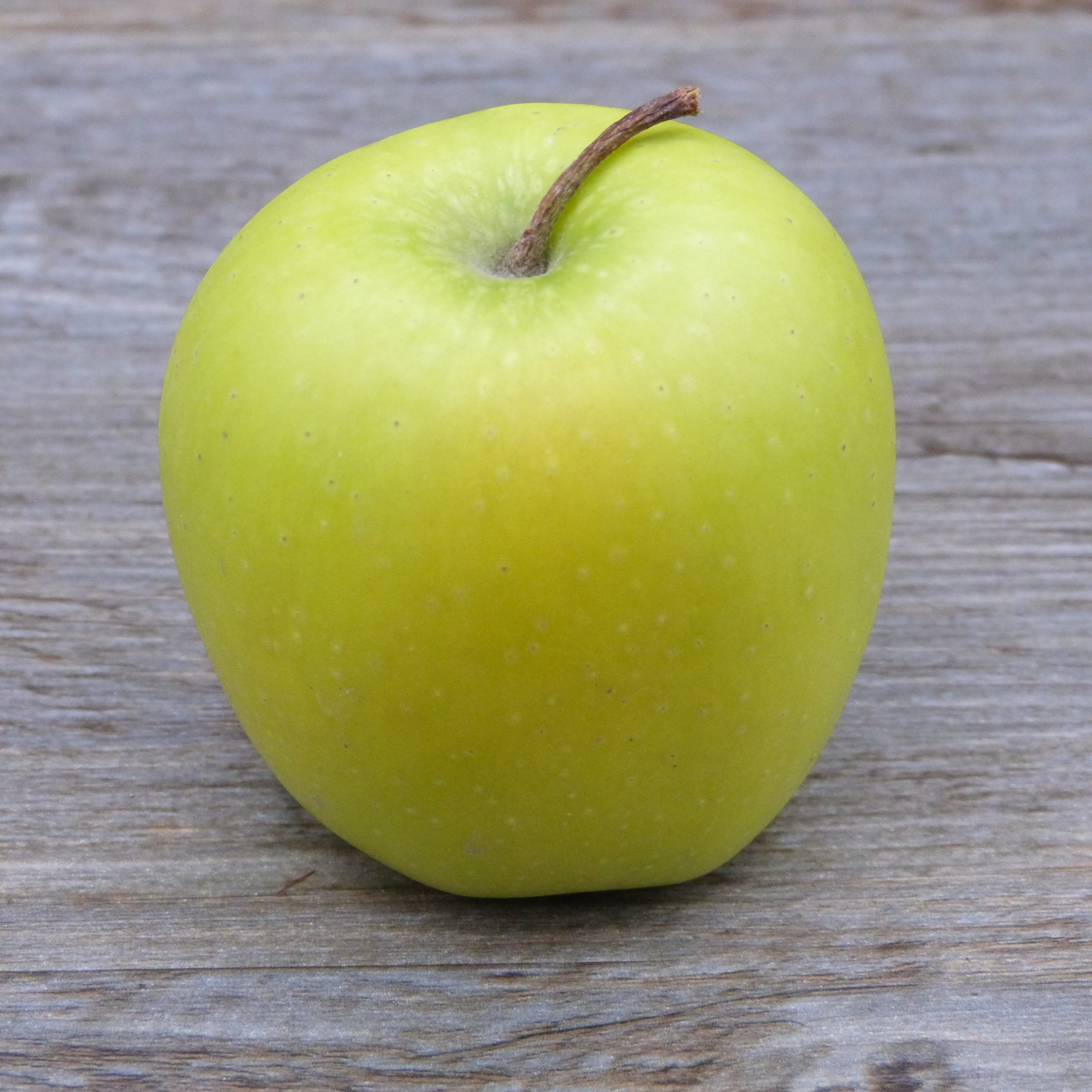 Pomme Golden - Noah Primeurs